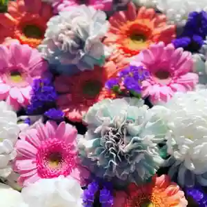 鹿島台神社(宮城県)(2022年11月25日(金) 10時05分19秒投稿)