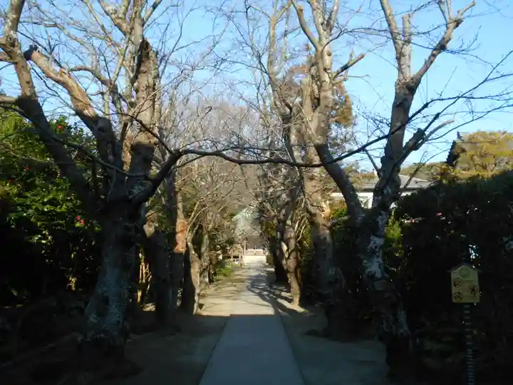 極楽寺(霊鷲山感應院極楽律寺)の景色