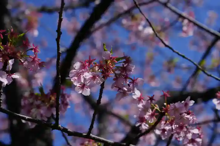 江島神社(神奈川県)