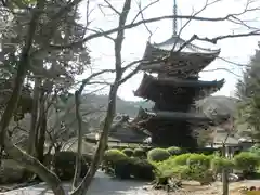 園城寺（三井寺）(滋賀県)