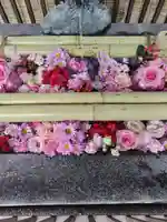 厚別神社(北海道)