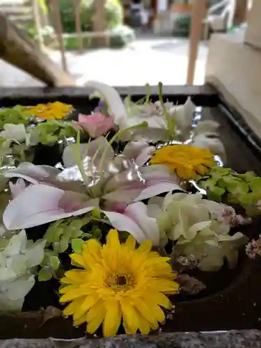 鳩森八幡神社の手水舎