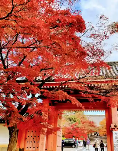 真正極楽寺（真如堂）の山門・神門