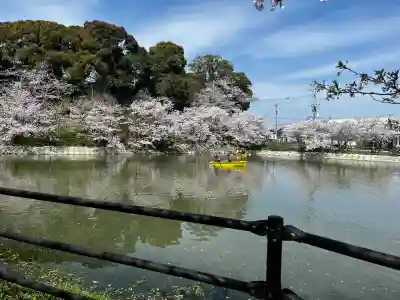 埴生神社の{uncategorized: "未分類", other: "その他", undefined: "問題あり", building: "その他建物", grave: "お墓", sacred_gate: "鳥居", guardian: "狛犬", statue: "像", buddha: "仏像", history: "歴史", nature: "自然", garden: "庭園", animal: "動物", pagoda: "塔", temizu: "手水舎", mountain_gate: "山門・神門", sanctuary: "本殿・本堂", subordinate: "末社・摂社", art: "芸術", scenery: "景色", jizo: "地蔵", ema: "絵馬", goshuin: "御朱印", omikuji: "おみくじ", items: "授与品その他", amulet: "お守り", goshuincho: "御朱印帳", eats: "食事", festival: "お祭り", votive_dance: "神楽", shichigosan: "七五三参", wedding: "結婚式", experience: "体験その他", initially: "初詣", around: "周辺", anti_infection: "感染症対策"}