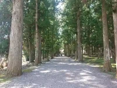 大斎原（熊野本宮大社旧社地）(和歌山県)