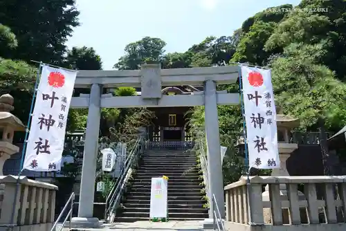 叶神社 (西叶神社)の鳥居