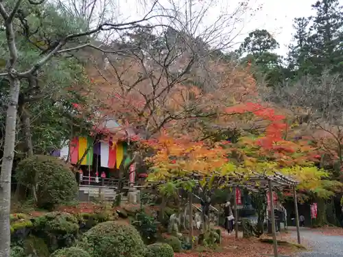 今熊野観音寺の景色