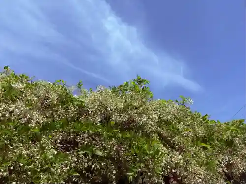 松應寺(愛知県)