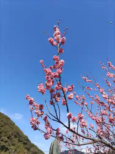 信達神社(大阪府)