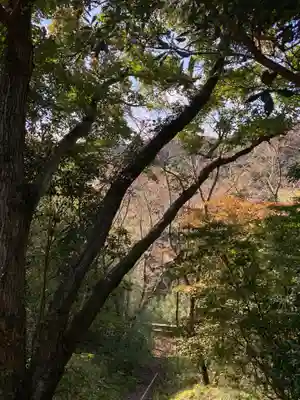八坂神社の自然