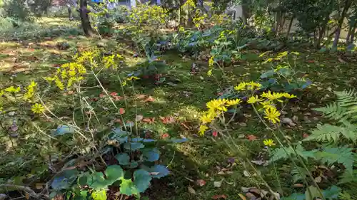清凉寺(京都府)