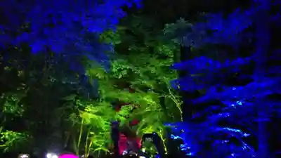 賀茂御祖神社（下鴨神社）のその他建物