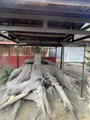 八坂神社(群馬県)