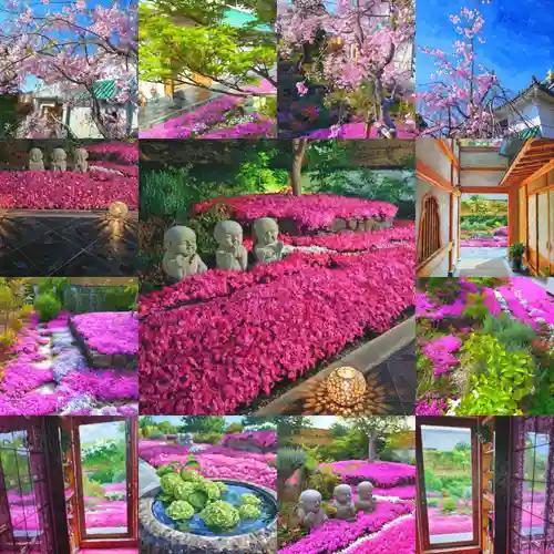 寿量山　速成寺(奈良県)