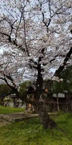 三柱神社(京都府)