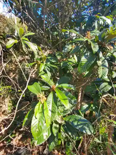 金剛閣(栃木県)