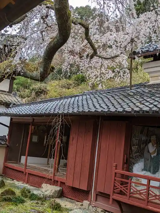 十輪寺(京都府)