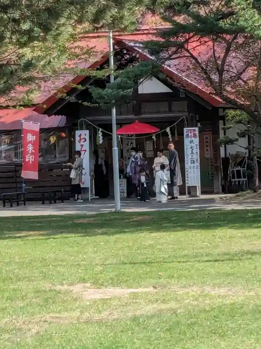 札幌護國神社の七五三参