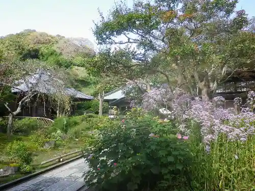 海蔵寺の庭園