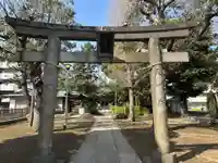 蓮根氷川神社(東京都)