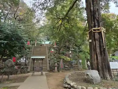 駒込富士神社(東京都)