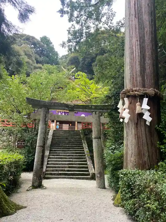高鴨神社の鳥居