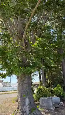 御刀神社(福島県)