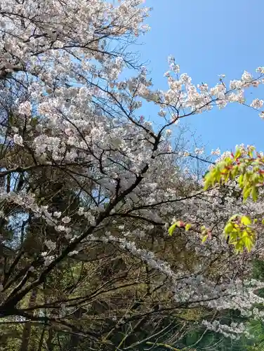 龍安寺(京都府)