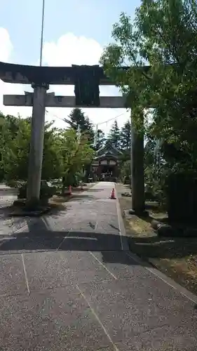 新川神社の鳥居