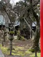 蠶養國神社のその他建物