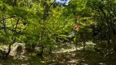 成相寺(京都府)