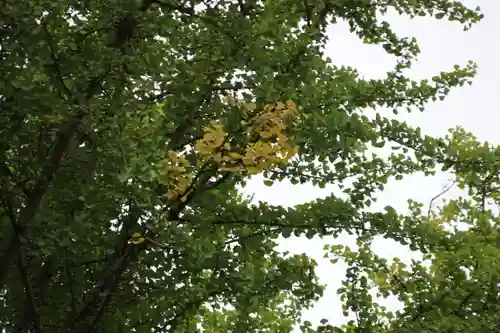 熊野福藏神社(福島県)