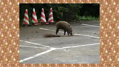 坪沼八幡神社(宮城県)