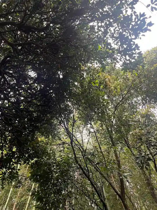 高松入神社(千葉県)