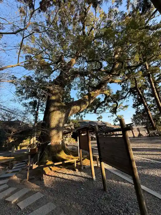 事任八幡宮(静岡県)