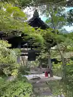 浄瑠璃寺(京都府)