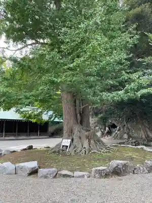 安房神社(千葉県)