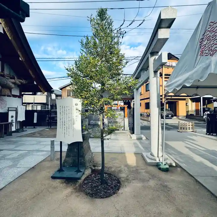 出雲大社埼玉分院(埼玉県)