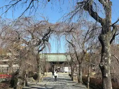 三嶋大社(静岡県)