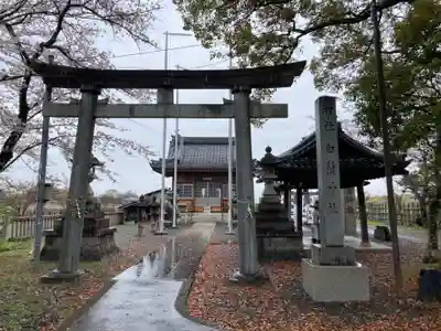 白髭神社(岐阜県)