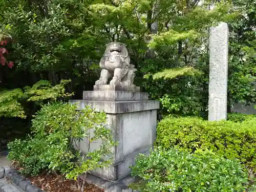 晴明神社の狛犬
