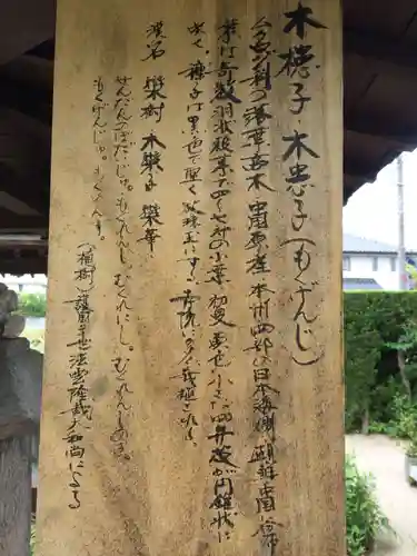 護国寺(山口県)