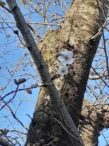 伏木香取神社の自然