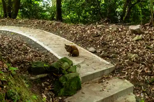 新田神社(鹿児島県)