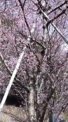 円通寺(神奈川県)