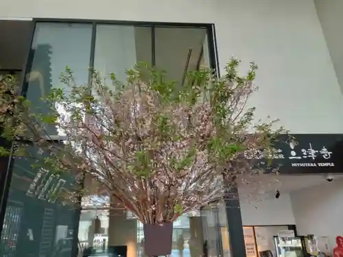 三津寺(大阪府)