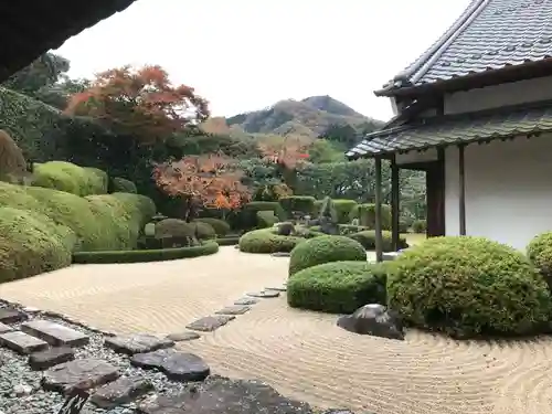 頼久寺の庭園