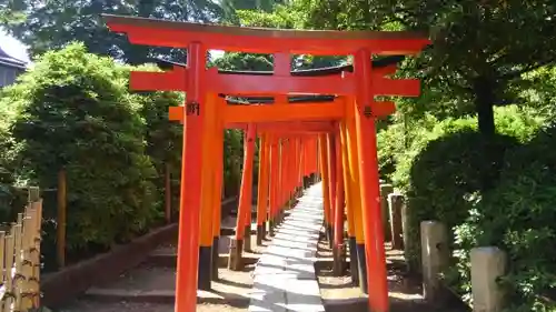 根津神社の鳥居