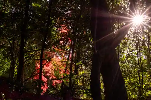八大神社(京都府)