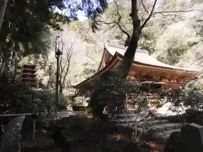 室生寺(奈良県)